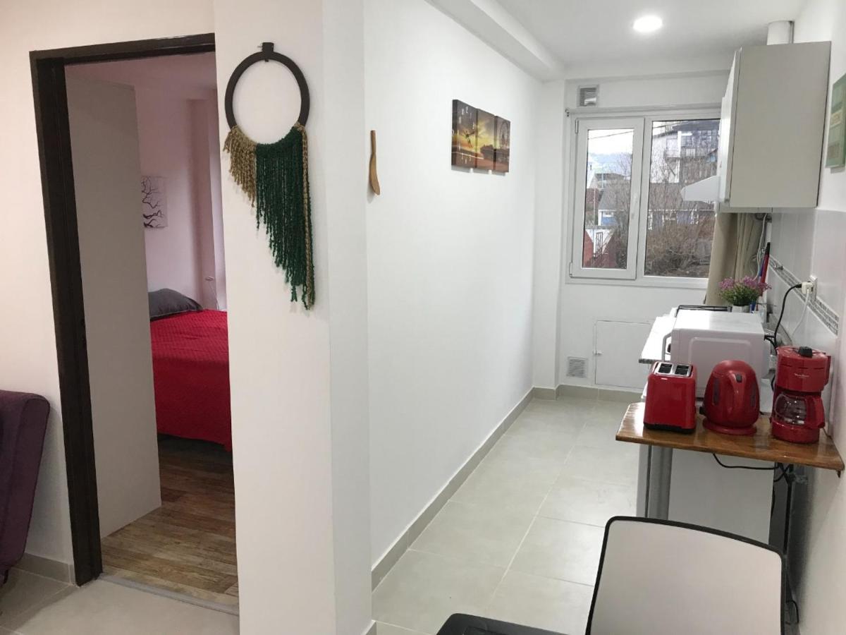 Lo De Moli 1C Apartment Ушуая Екстериор снимка
